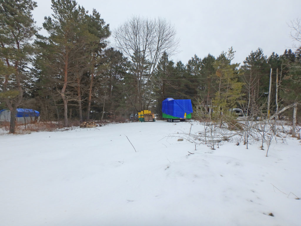 Building Lot in Emsdale SOLD Nancy Carr