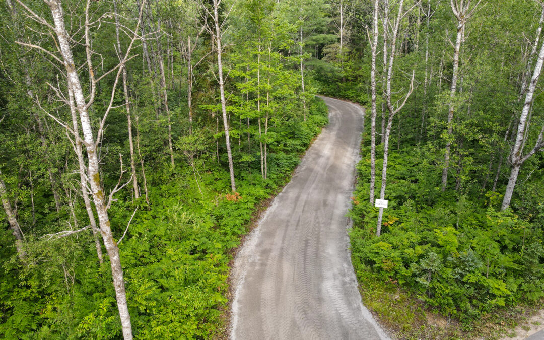 Level Building Lot – $259,000