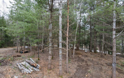 1.19 Acre Lot in Emsdale – $129,900