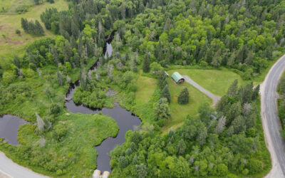 Log Home on Rosseau River – $549,000