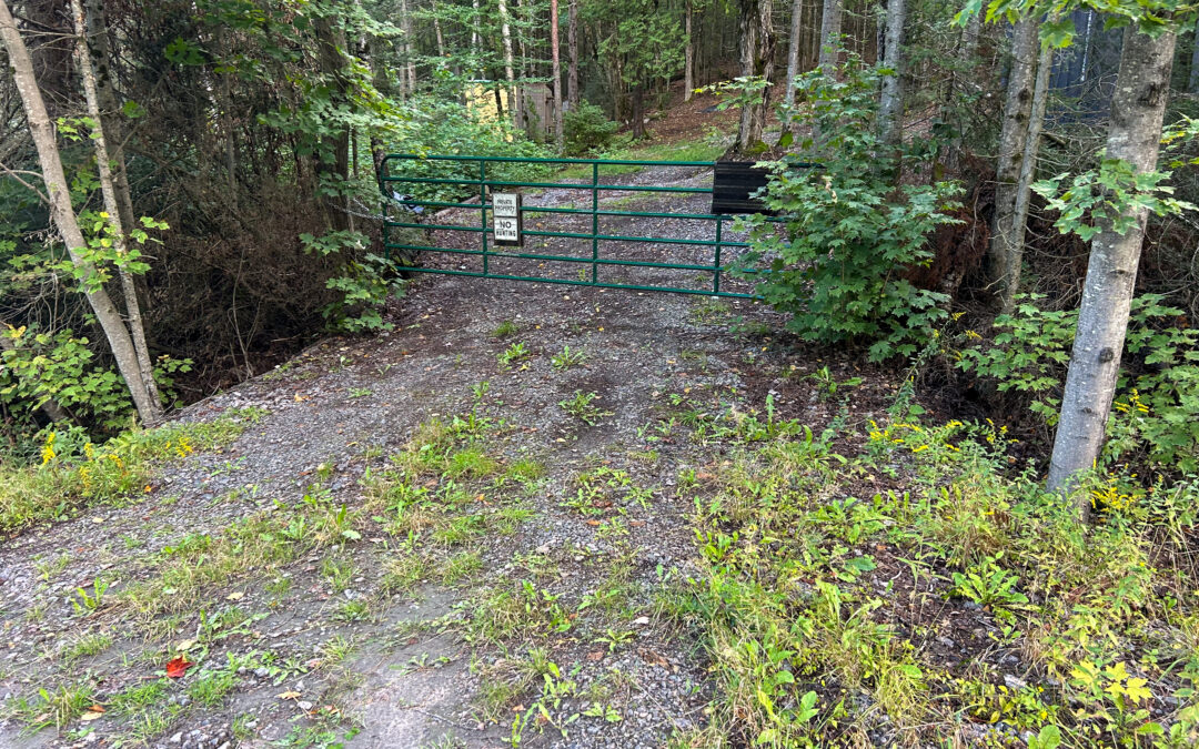 4.6 Acres in Unorganized Township – $99,900