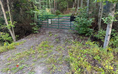 4.6 Acres in Unorganized Township – $99,900
